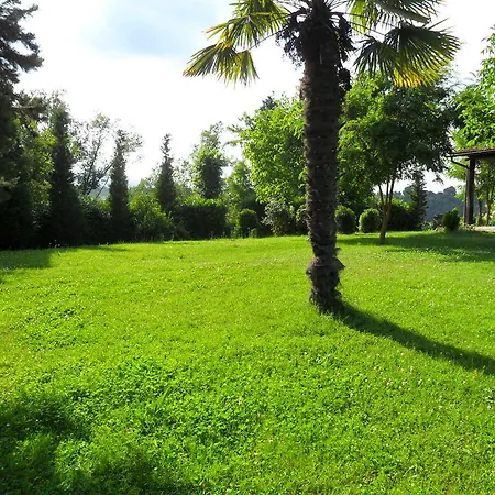 Le Rondini