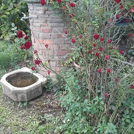Le Rondini Bed & Breakfast Chiusi